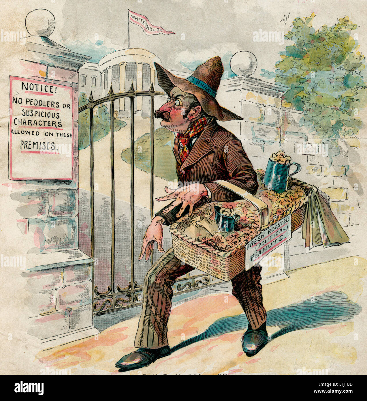 The political peanut vendor -  a peddler labeled 'D.B. Hill' selling 'Fresh Roasted (Political) Peanuts', standing outside the gates to the White House, where a sign has been posted that states 'Notice! No Peddlers or Suspicious Characters Allowed on These Premises.', circa 1894 Stock Photo