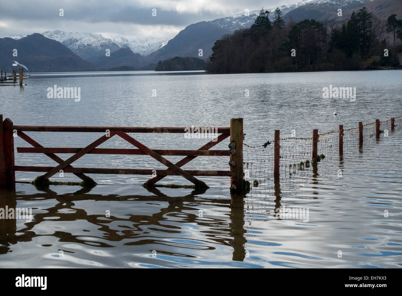 A flooded field next to Derwent Water near Keswick in the Lake District National Park Stock Photo