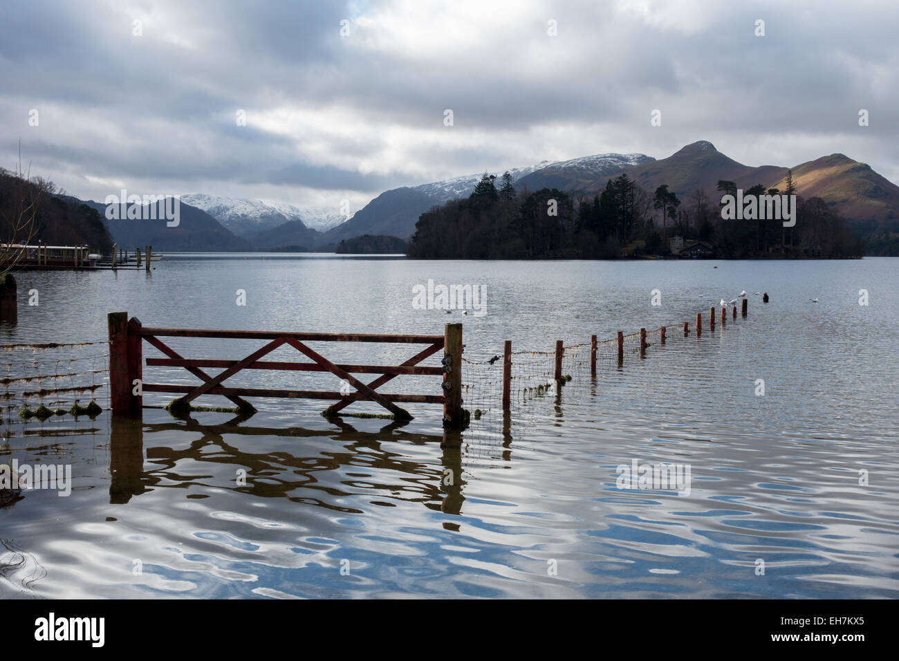 A flooded field next to Derwent Water near Keswick in the Lake District National Park Stock Photo