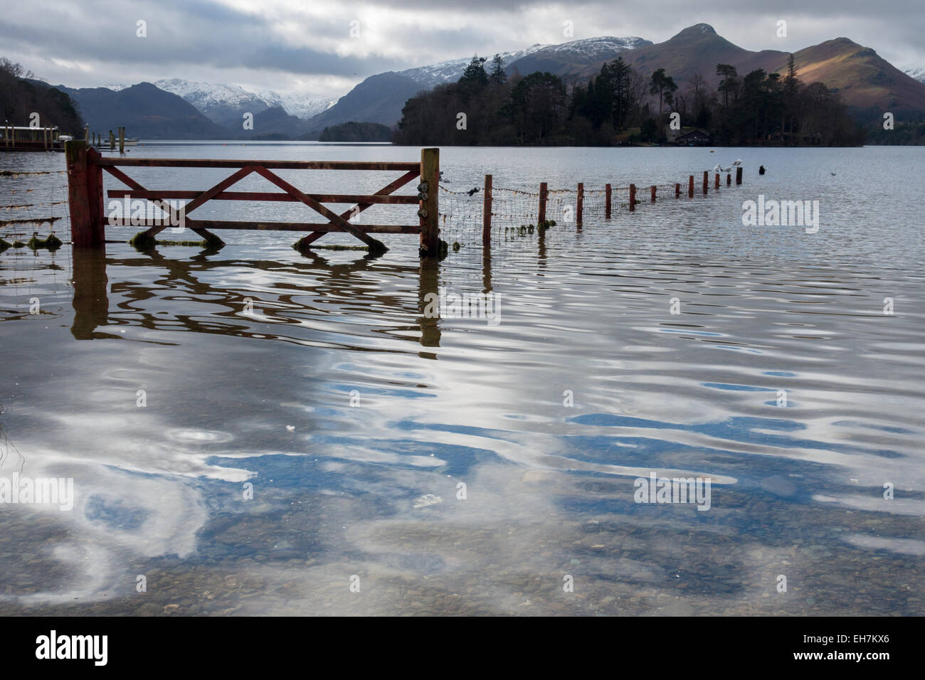 A flooded field next to Derwent Water near Keswick in the Lake District National Park Stock Photo