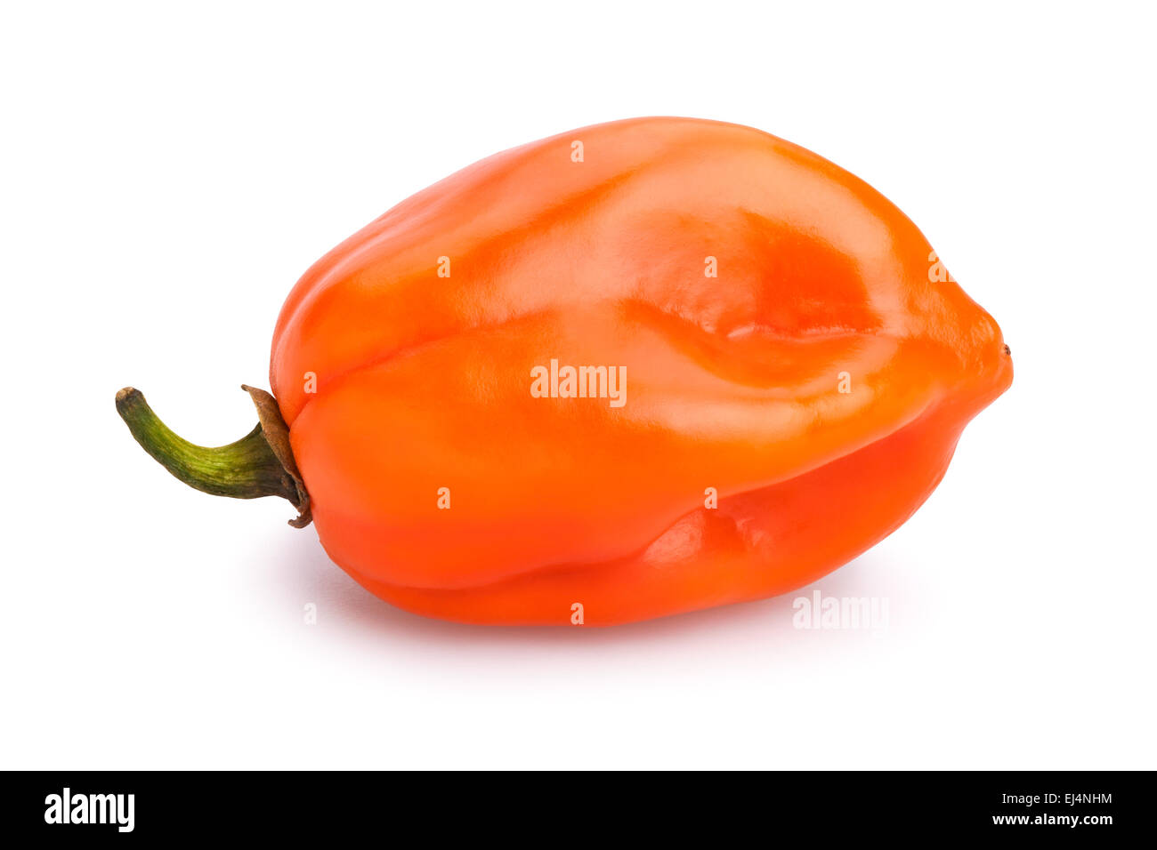 chili pepper isolated Stock Photo