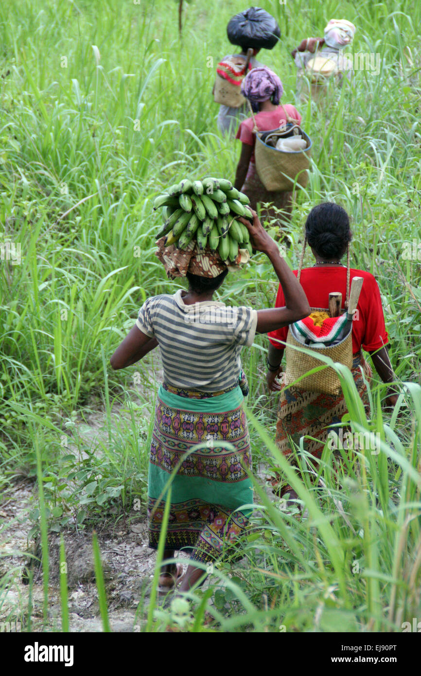 Local women heading to Vila, capital of Atauro Island, Timor-Leste, Asia Stock Photo