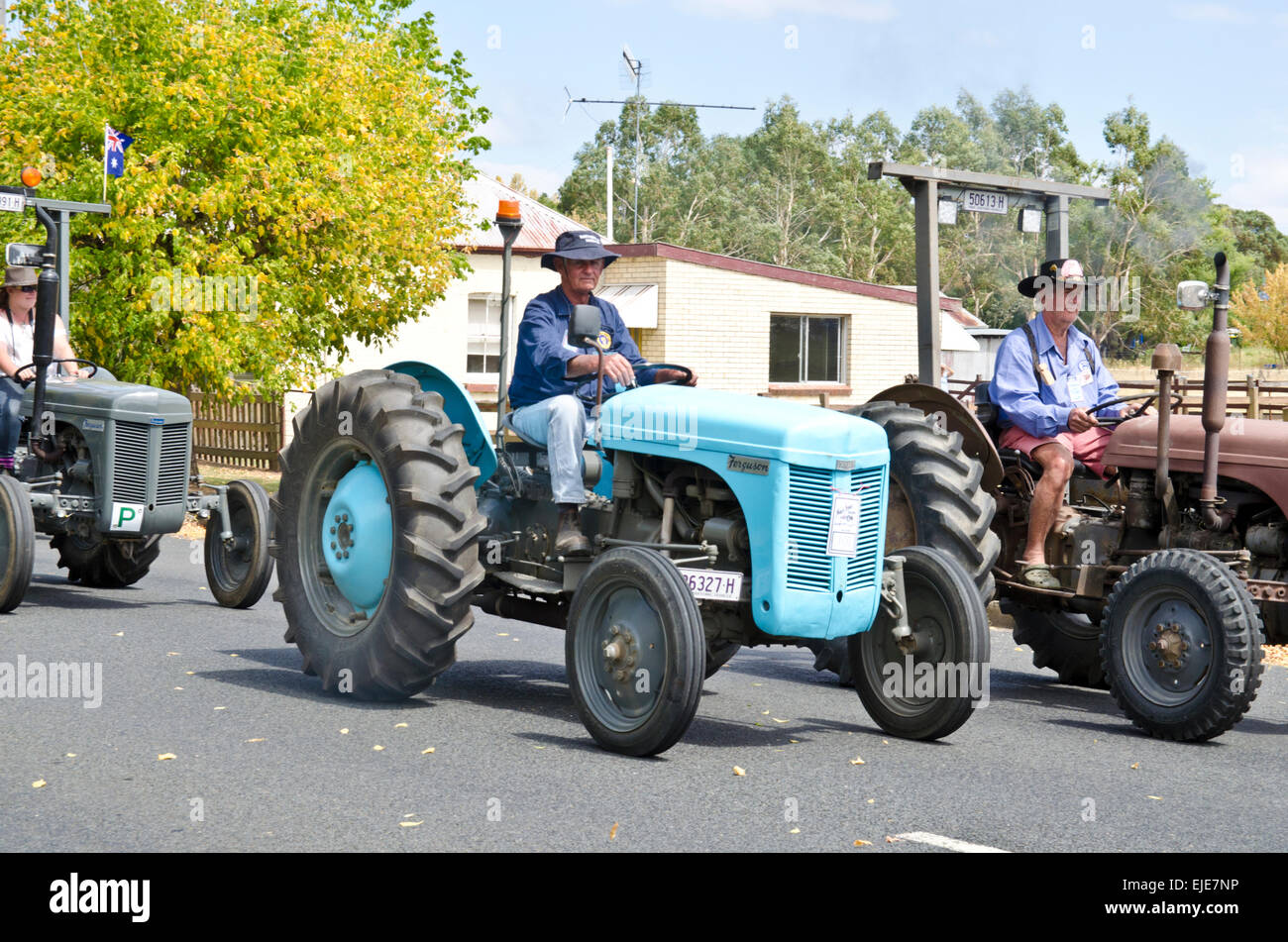 5th Triennial Bendemeer Grey Fergie Muster Grand Parade March 2015 Stock Photo