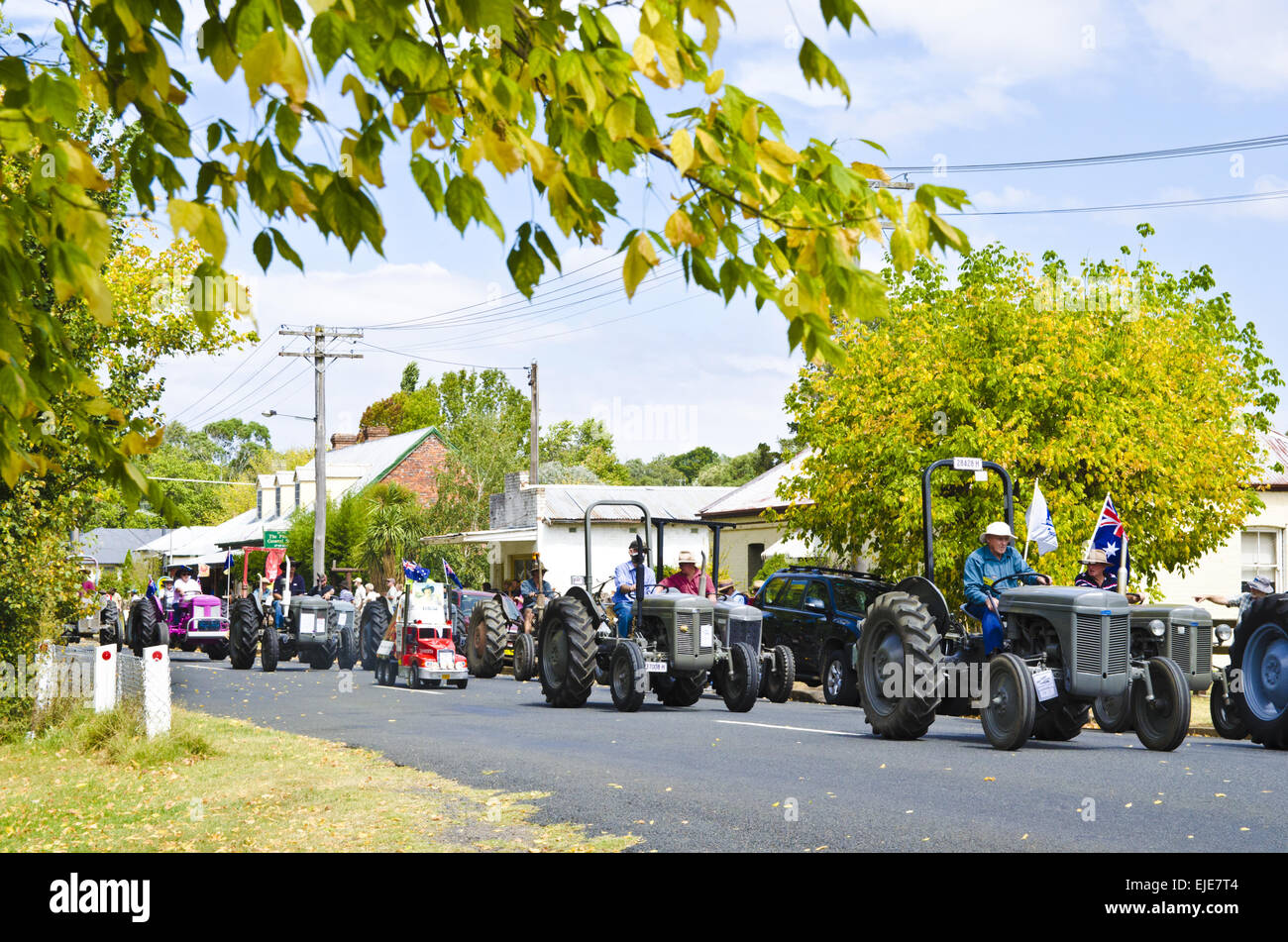 5th Triennial  Bendemeer Australian Grey Fergie Muster Grand Parade. March 2015 Stock Photo