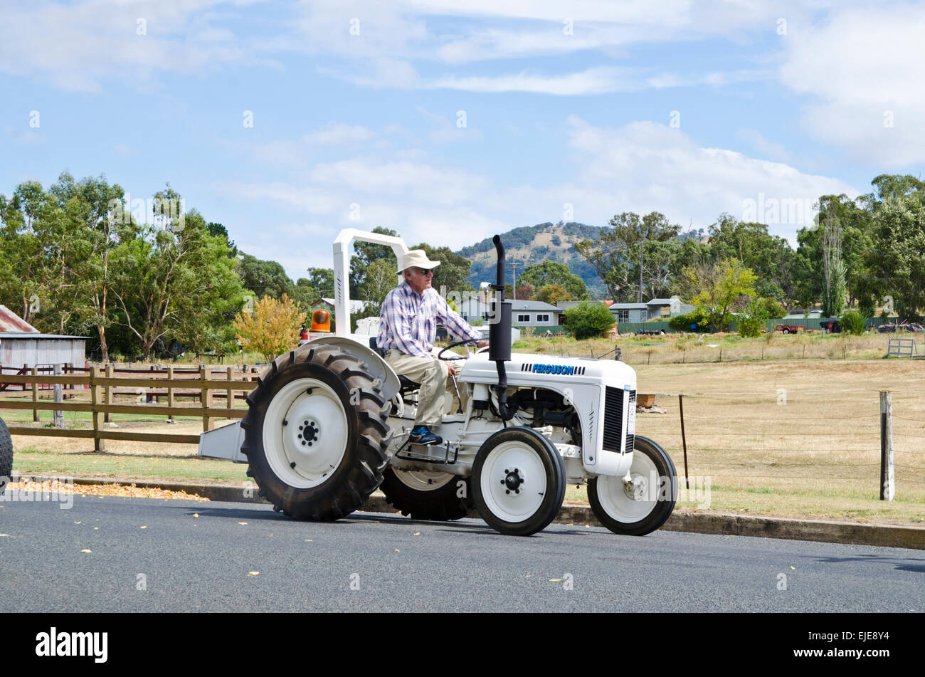 5th Triennial  Bendemeer Australian Grey Fergie Muster Grand Parade. March 2015 Stock Photo