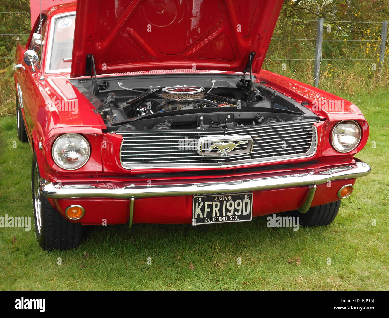 1960s Ford Mustang muscle car Stock Photo