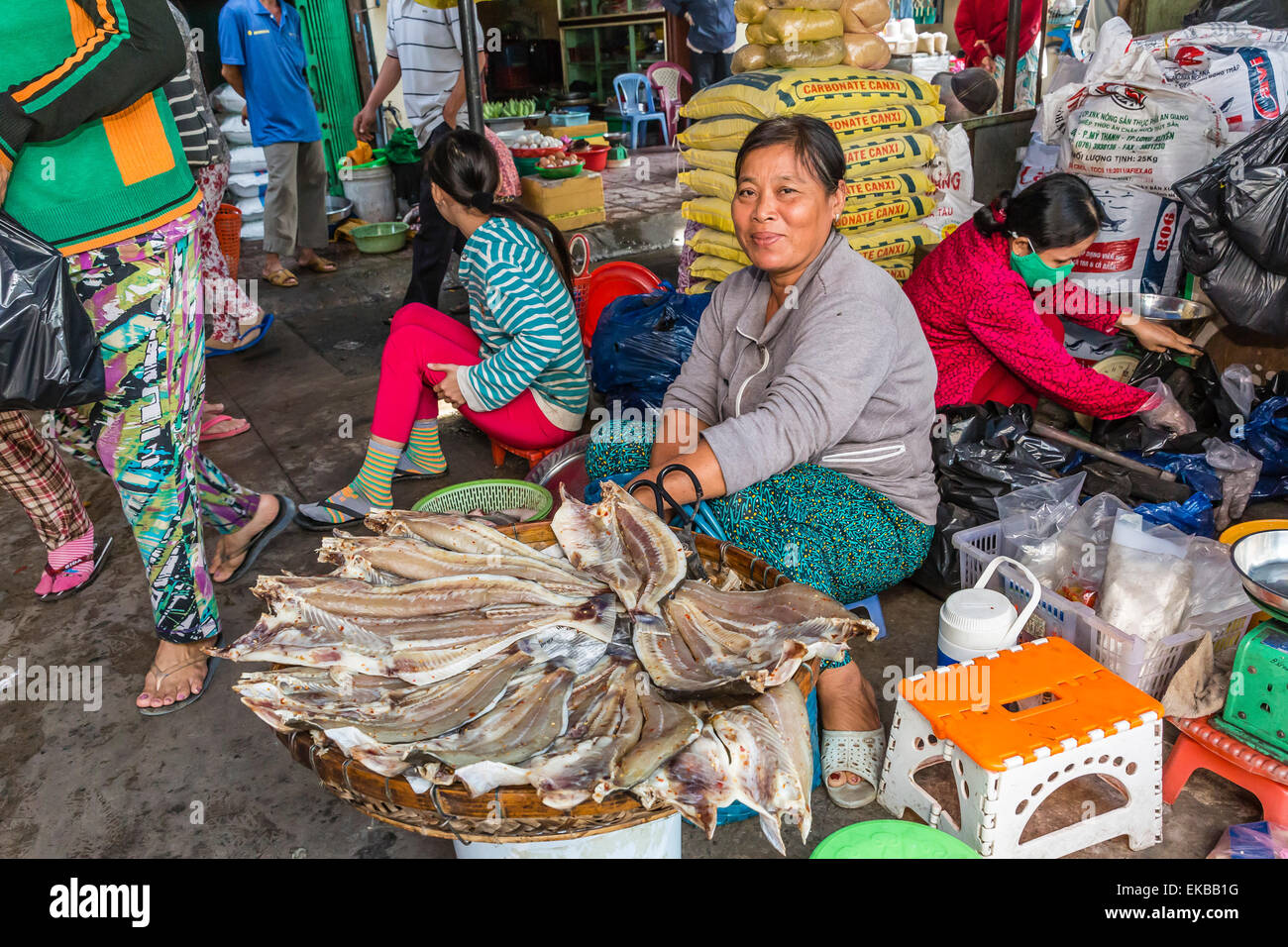 Woman selling dried fish at the local market in Chau Doc, Mekong River Delta, Vietnam, Indochina, Southeast Asia, Asia Stock Photo