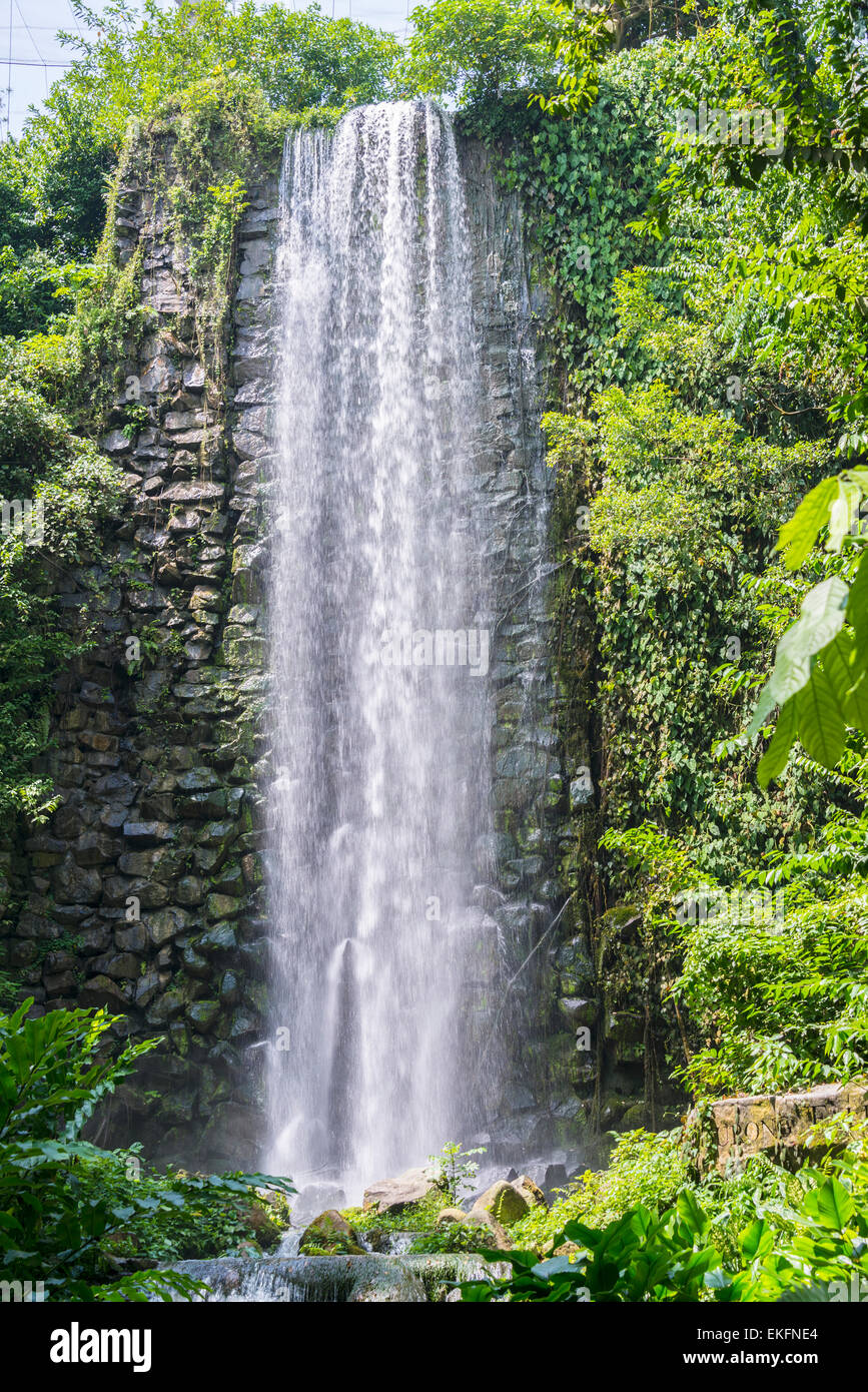 Jurong bird Park Singapore, man made waterfall Stock Photo