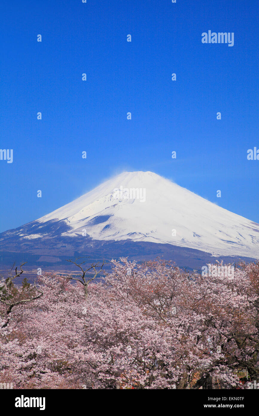 Shizuoka Prefecture, Japan Stock Photo