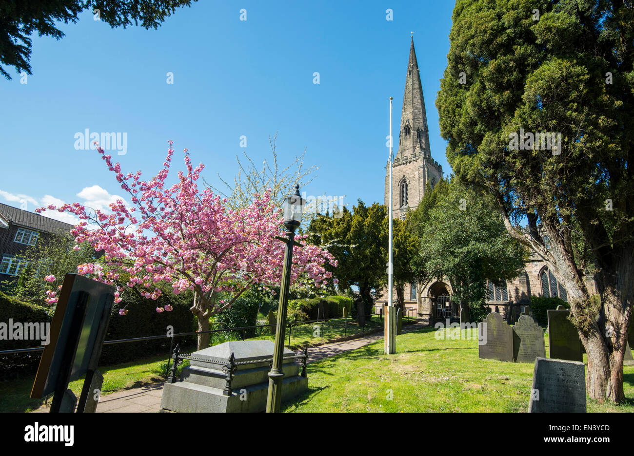 Spring blossom at All Hallows Church in Gedling, Nottingham Nottinghamshire England UK Stock Photo