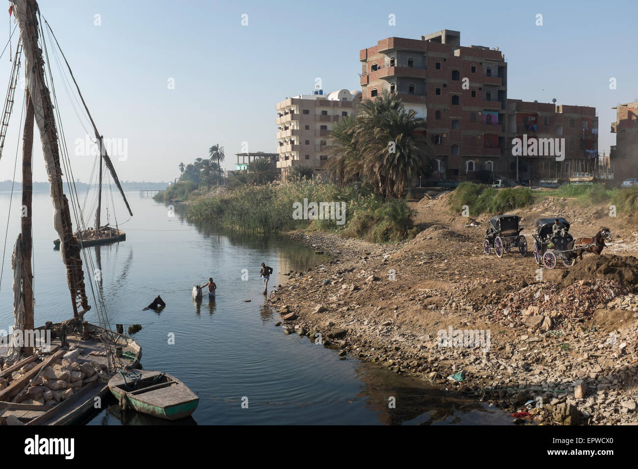 Calesh drivers bathe their horses in the Nile at Edfu in front of a large felucca carrying stone for construction Stock Photo