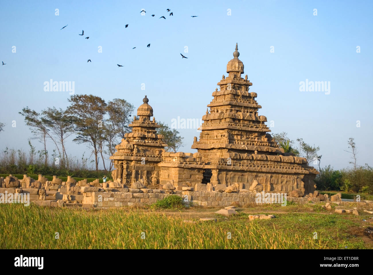 Beach temple at sea beach mahabalipuram ; Chennai ; Tamil nadu ; India Stock Photo