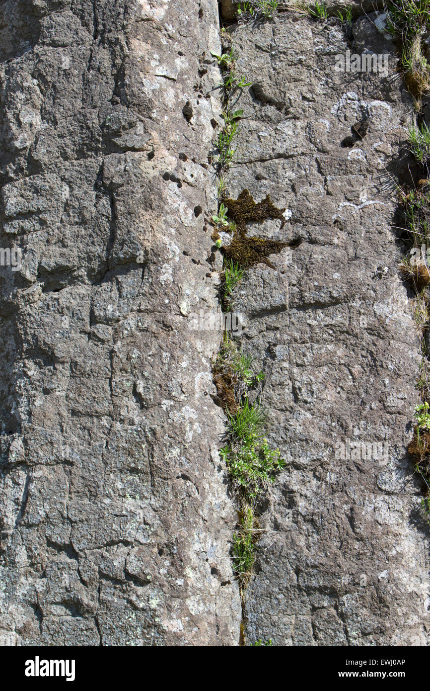 Dverghamrar dwarf rocks volcanic basalt columns Iceland Stock Photo