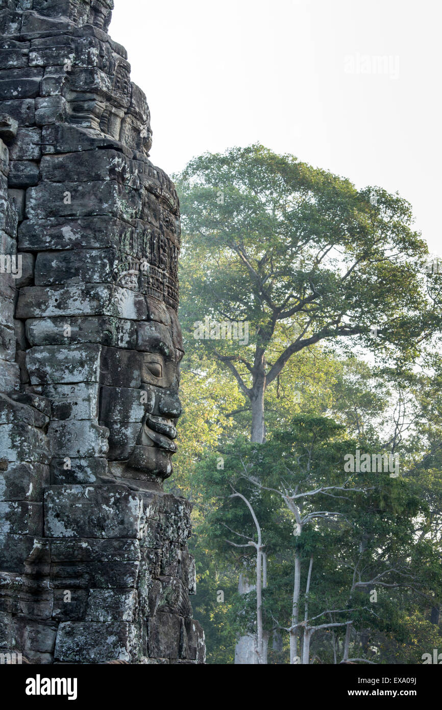 Asia, Cambodia, Siem Reap, Stone carvings of the 12th century Buddhist King Jayavarman VII at Bayon Temple at Angkor Wat Stock Photo