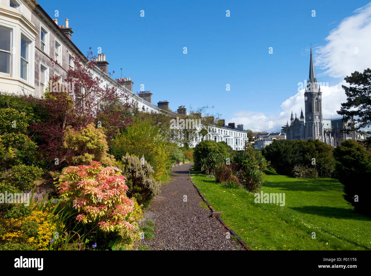 The Crescent Built around 1850, With St Coleman's Cathedral Beyond,  Cobh, County Cork, Ireland Stock Photo