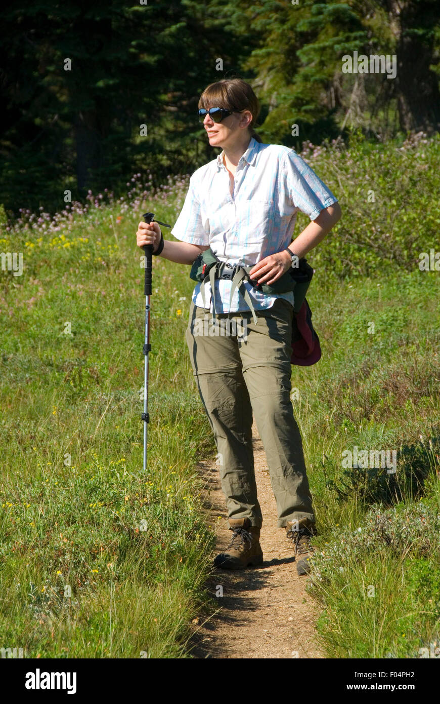 Pacific Crest Trail near Mt Ashland, Rogue River National Forest, Oregon Stock Photo