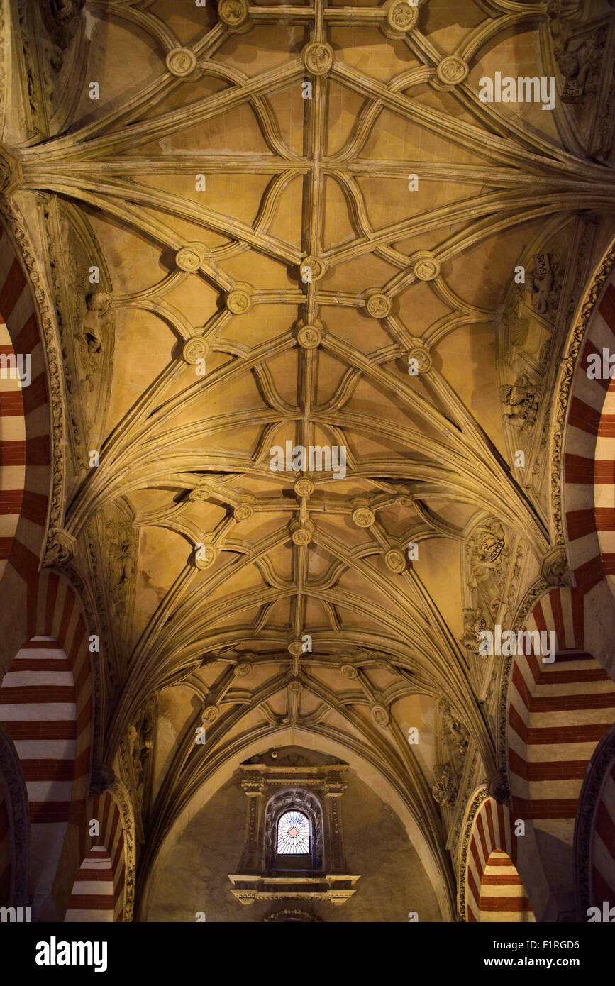 Old Testament Prophets on high ceiling of the Hypostyle Prayer Hall in the Cordoba Cathedral Mosque Stock Photo