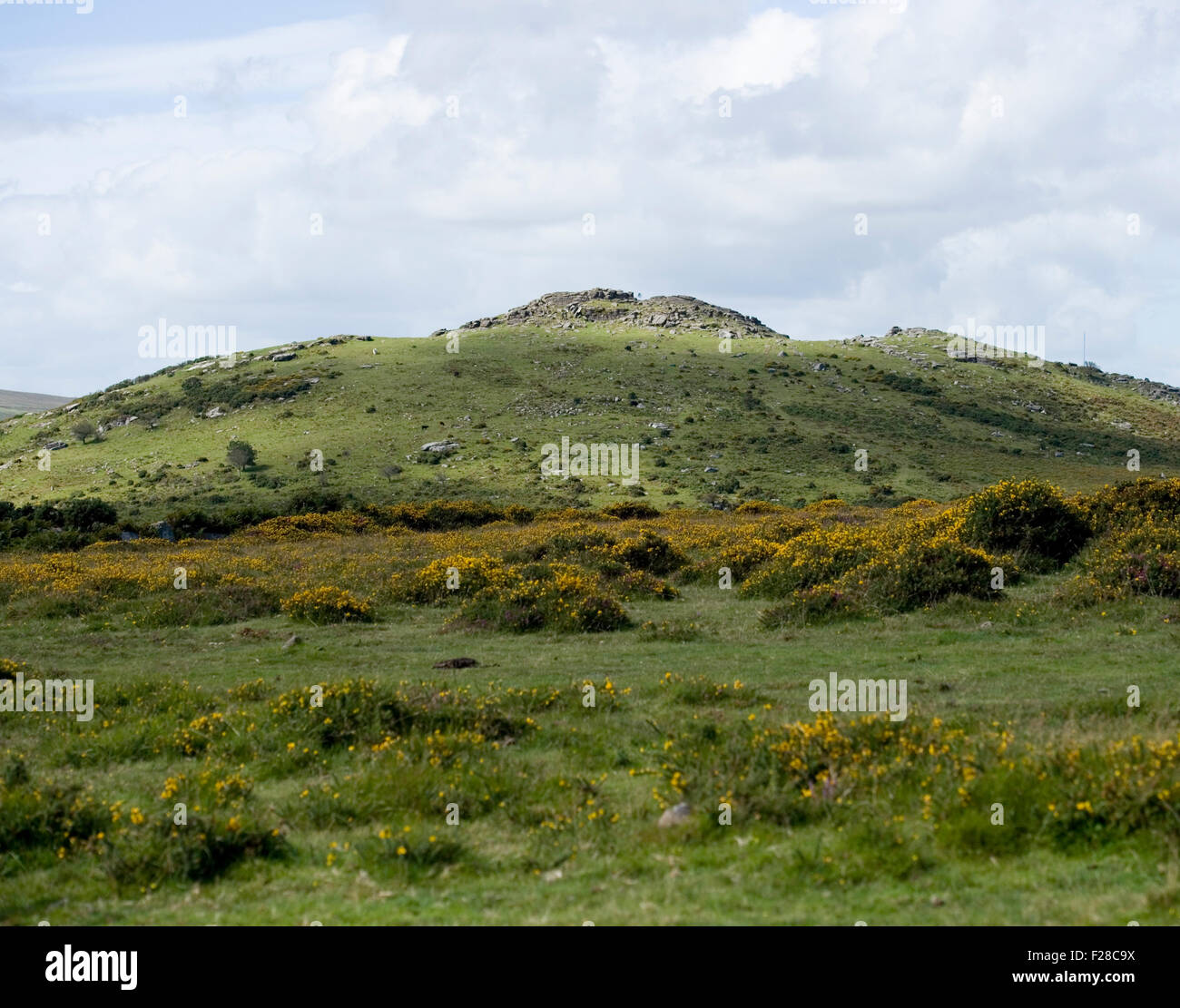 sharp tor Stock Photo