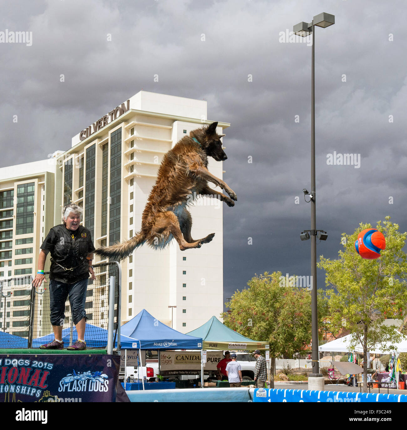 Las Vegas, Nevada, USA. 04th Oct, 2015. EILEEN HARNEDY from Atascadero, Califiornia, and her Belgian Shepherd, Mica, compete during the 2015 Splash Dog National Championships. © Brian Cahn/ZUMA Wire/Alamy Live News Stock Photo