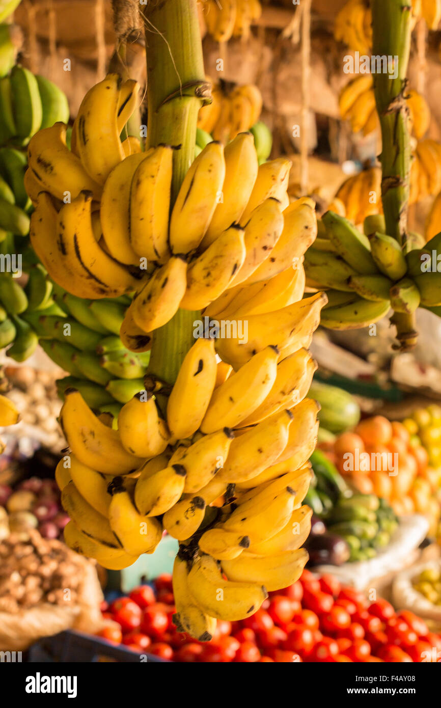 Banana bunch at a local market Stock Photo