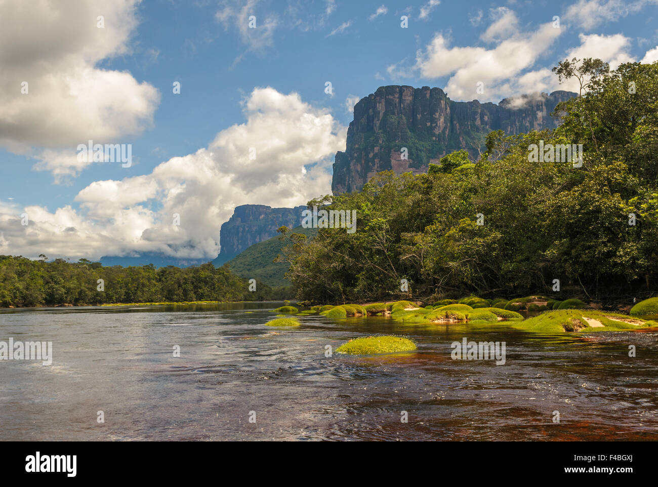 Canaima National Park, Venezuela Stock Photo