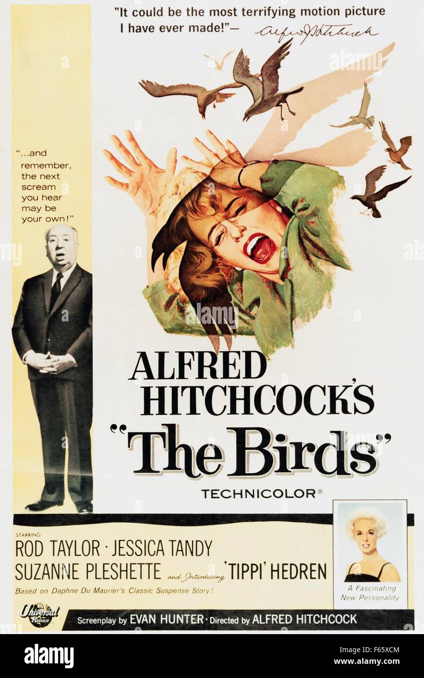 The Birds  Year : 1963 - USA Director : Alfred Hitchcock Movie poster (USA) Stock Photo