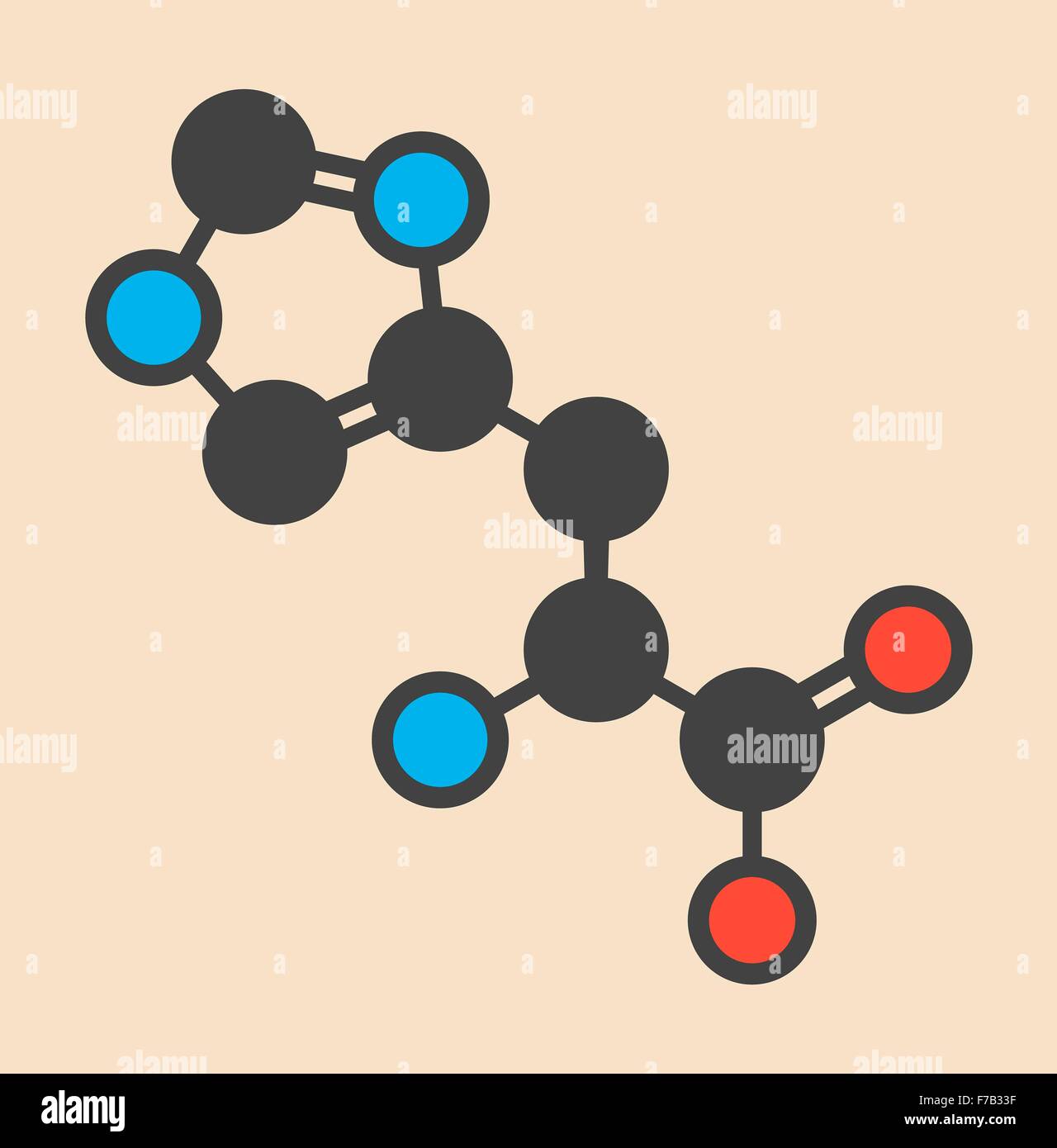 Histidine (l-histidine, his, H) amino acid molecule. Stylized skeletal formula (chemical structure). Atoms are shown as Stock Photo