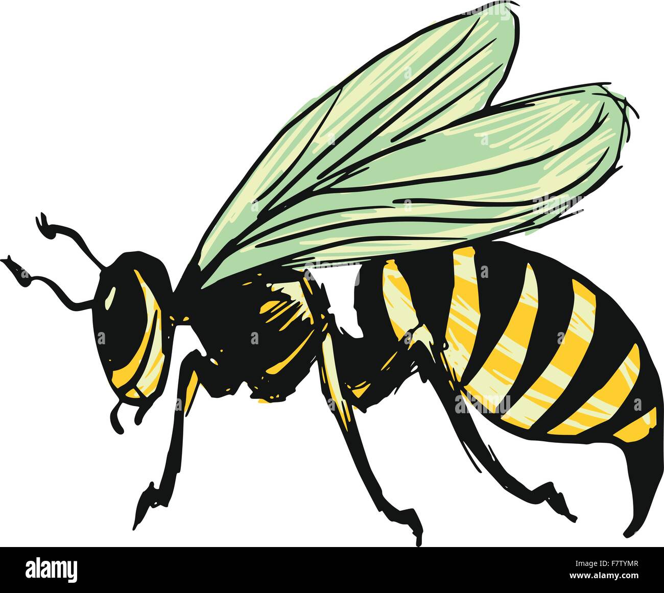 Yellow jacket wasp sting Stock Vector Images - Alamy