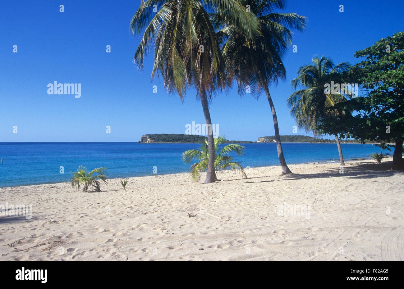 Sun Bay Beach, Vieques Island, Puerto Rico. Stock Photo