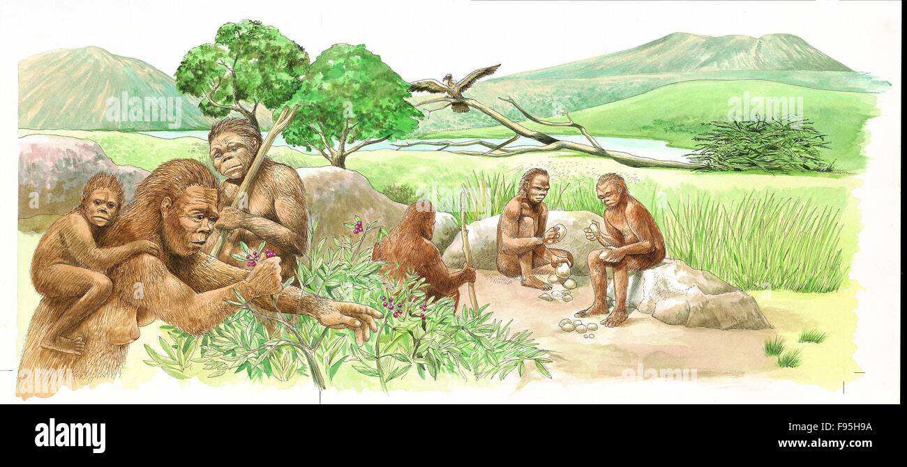 The earliest humans. Stock Photo