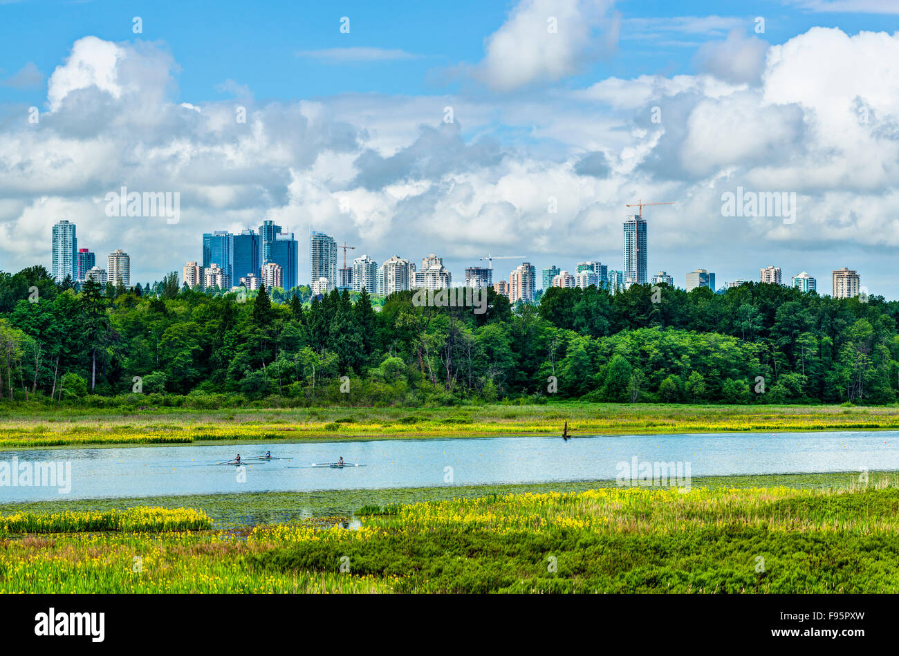 Rowers. Burnaby Lake Stock Photo