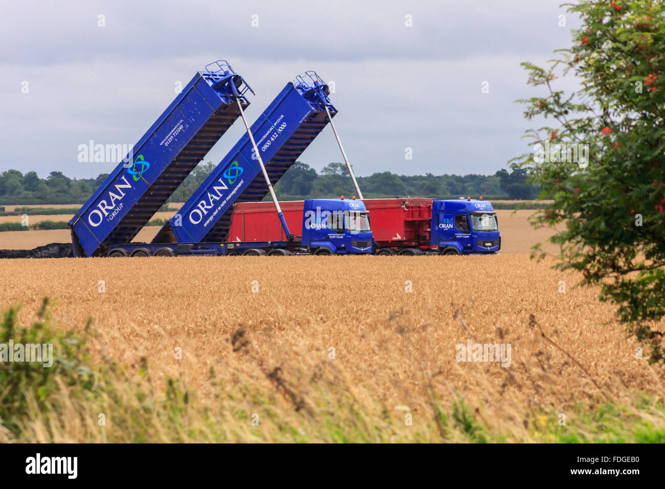 Agricultural slurry tipper lorries Stock Photo