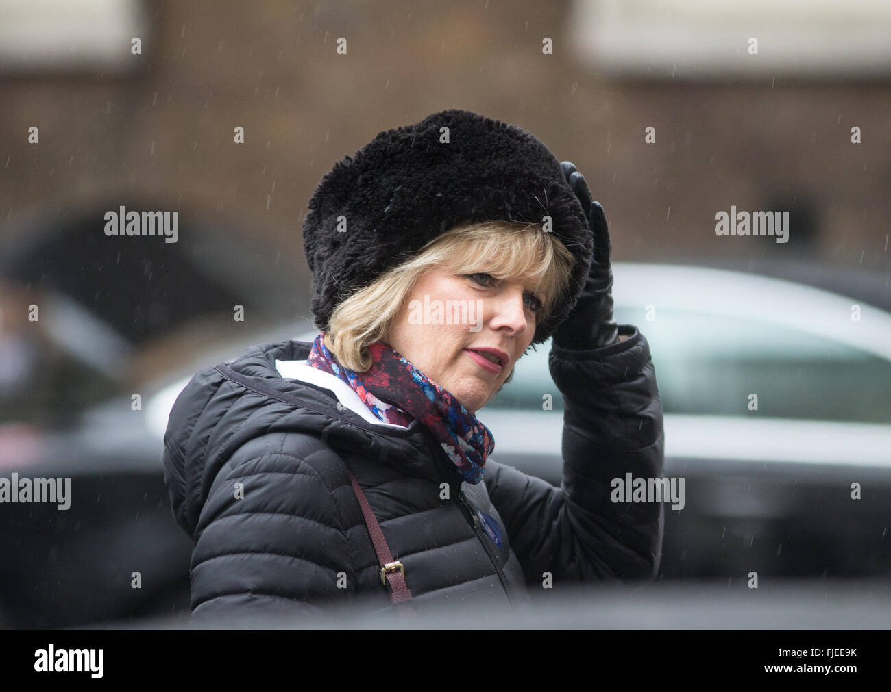 Anna Soubry,Minister for small business,Industry and Enterprise,at Number 10 Downing Street for a Cabinet meeting Stock Photo