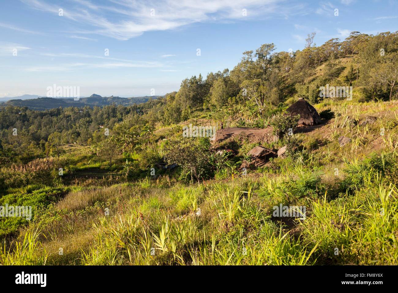 Indonesia, East Nusa Tenggara, West Timor, South Central Timor Regency, Fatumnasi, Timorese tradinional house called Lopo Stock Photo