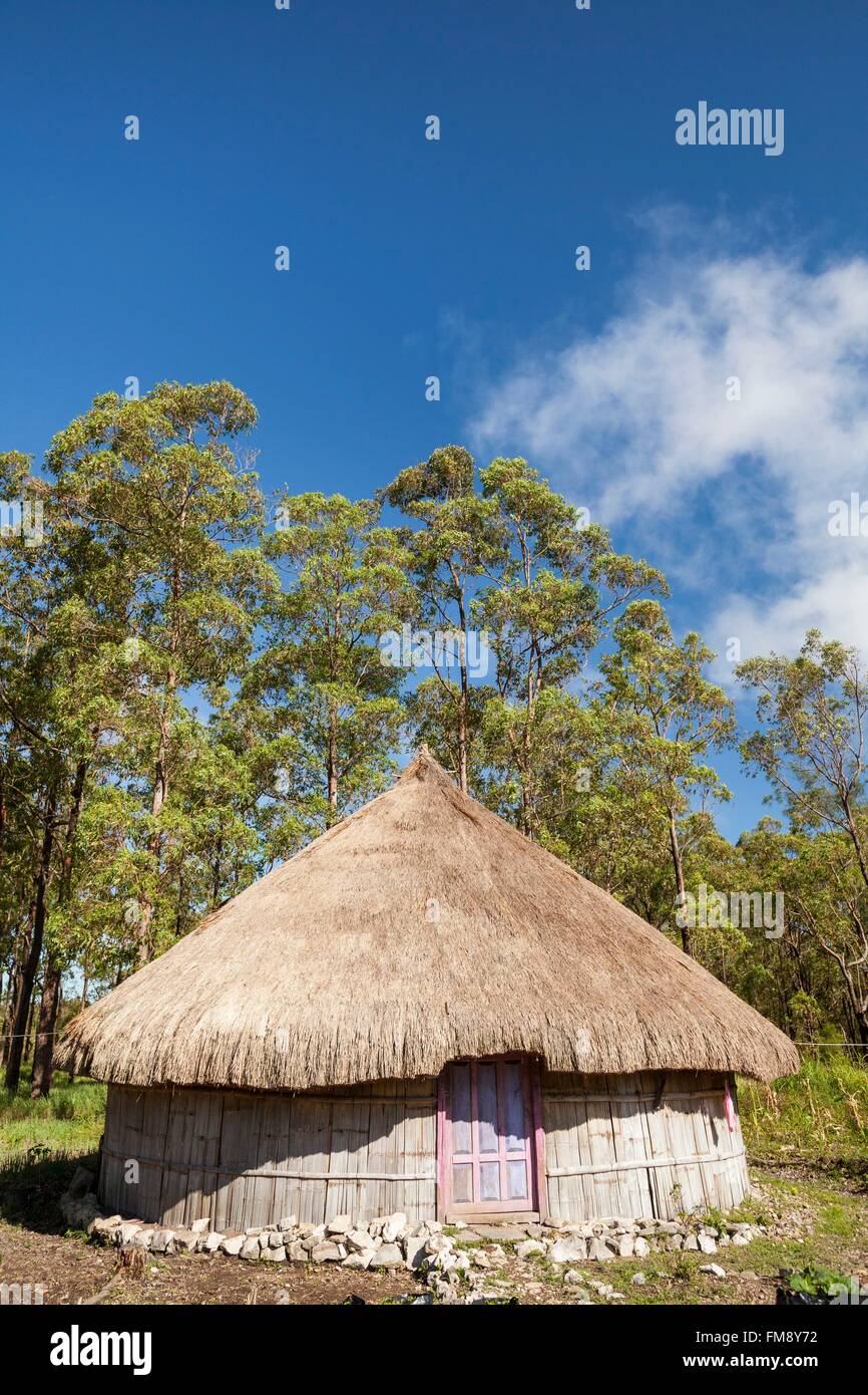 Indonesia, East Nusa Tenggara, West Timor, South Central Timor Regency, Fatumnasi, Naususu, Guest house in timorese traditional style, lopo style Stock Photo