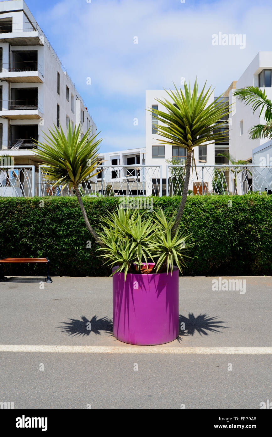 Morocco, Rabat, Sale Marina Stock Photo