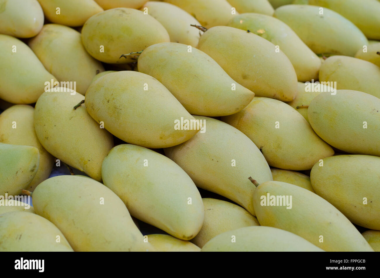 Ripe mango in local market, Thailand Stock Photo