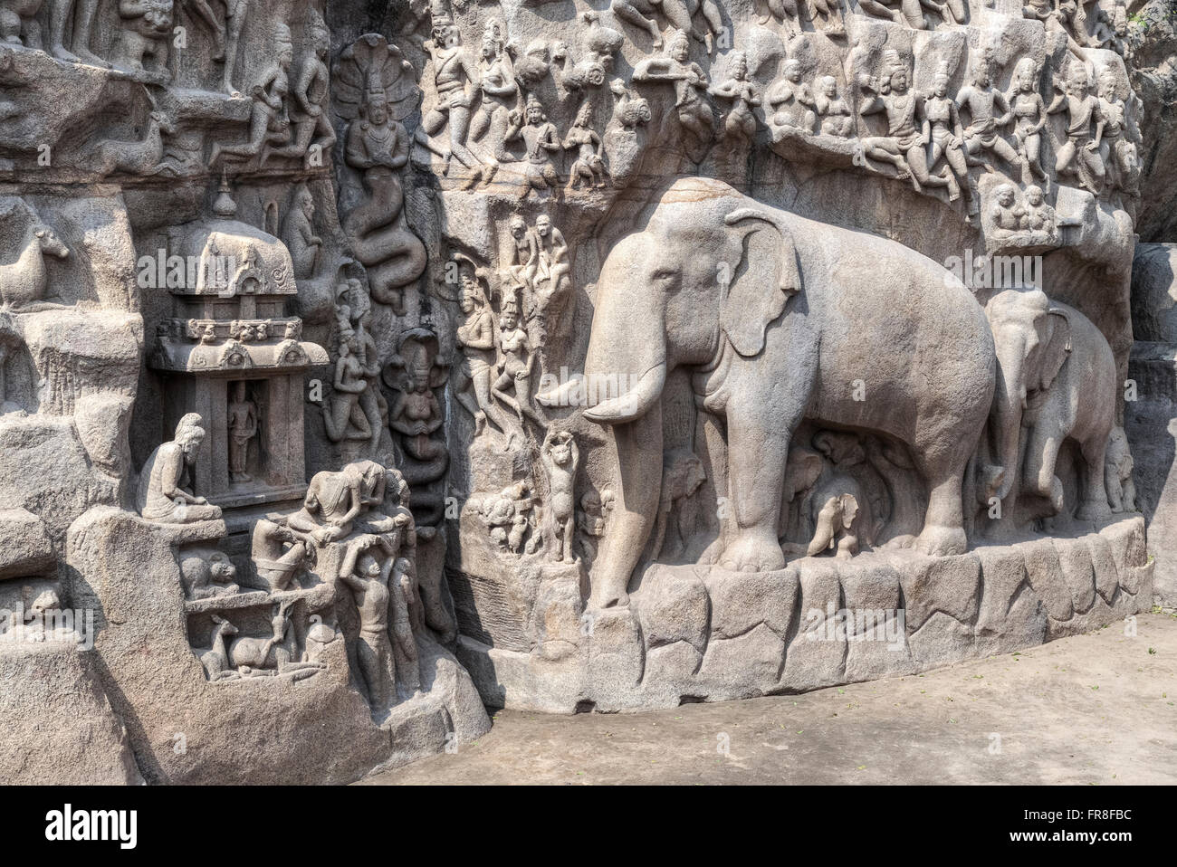 Descent of the Ganges, Mahabalipuram, Tamil Nadu, India, Asia Stock Photo