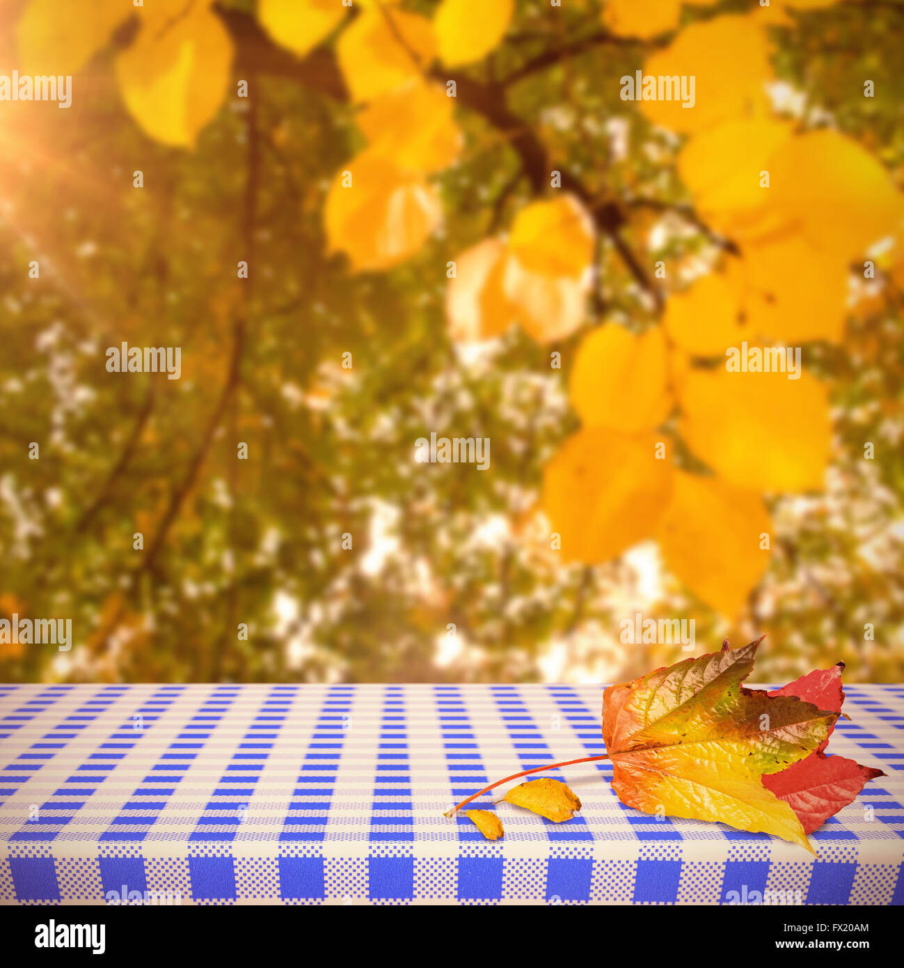 Composite image of autumn leaf Stock Photo