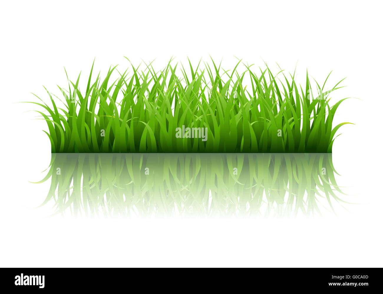 Green Grass Border Stock Photo