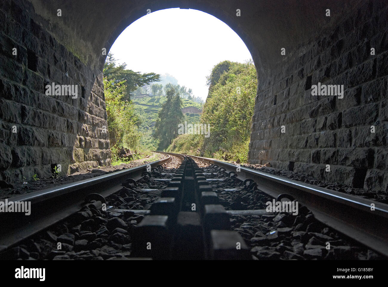 Nilgiri Mountain Railway, an UNESCO World Heritage Railway, Nilgiris, Tamil Nadu Stock Photo