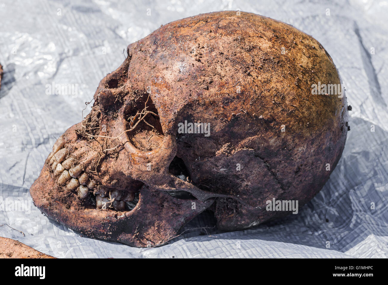 Skeleton remains of a buried unknown victim Stock Photo