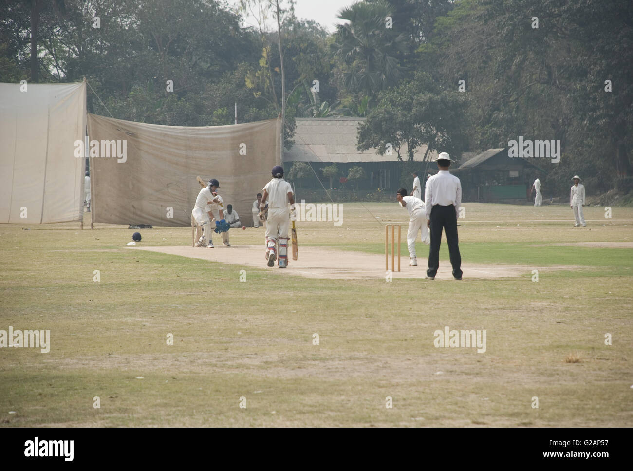 Cricket playing in Maidan area, near Eden Gardens stadium, Kolkata, West Bengal, India Stock Photo