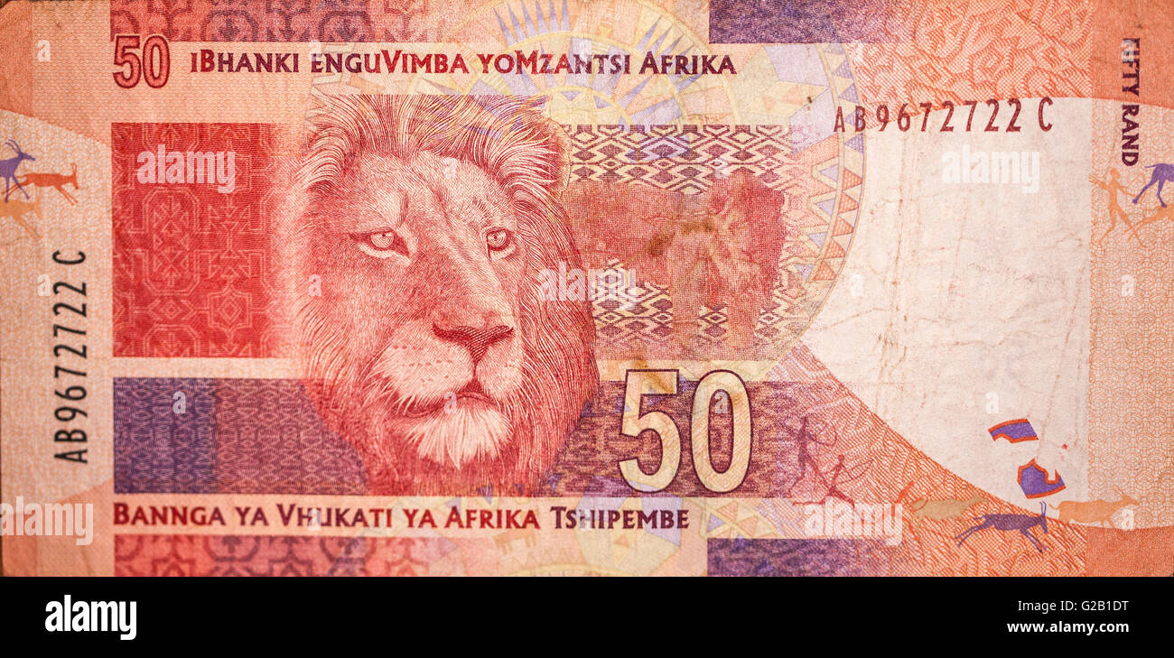 Lion on the Rand from South Africa Stock Photo