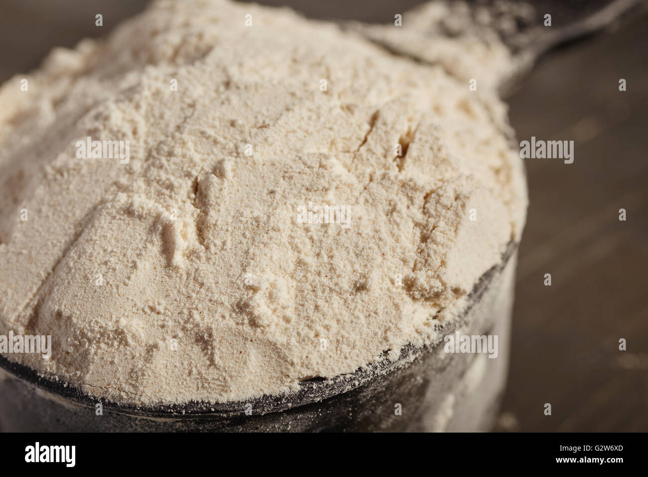 A cup of organic whole wheat (meal) flour Stock Photo