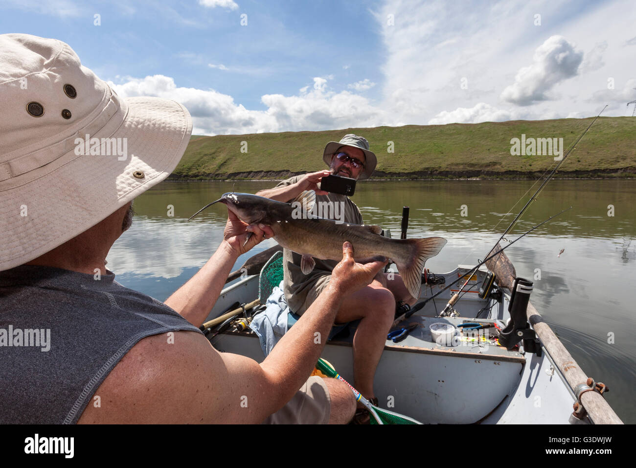 WA11816-00...WASHINGTON - Phil Russell holds up a channel catfish he caught in the Snake River Stock Photo