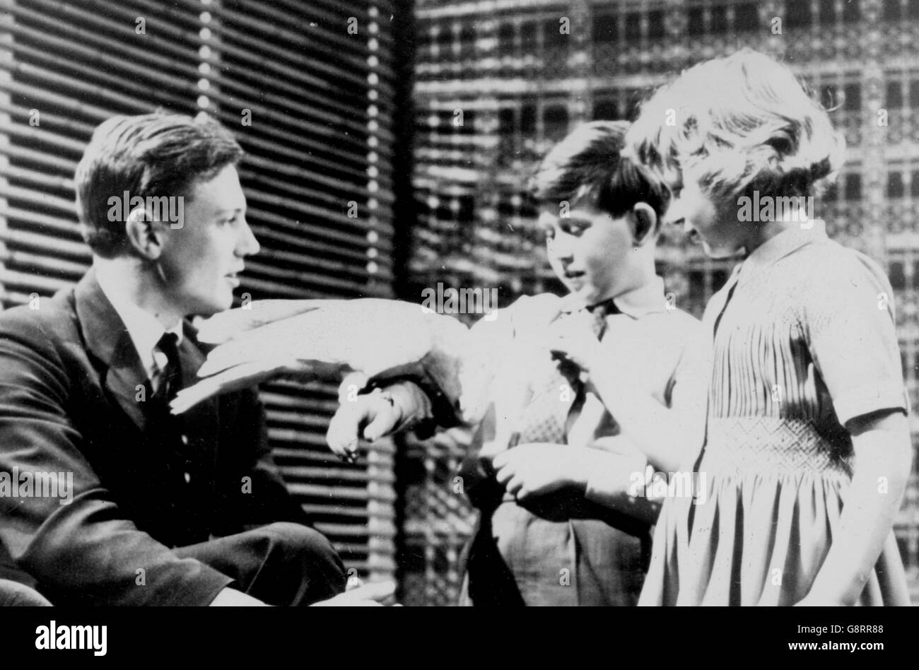 David Attenborough (l) watches as Prince Charles and Princess Anne make friends with Cocky, a cockatoo brought back from his last Zoo Quest expedition. The Royal children were on an unofficial visit to the BBC Television Studios at Lime Grove, London. They had just watched the 'Studio E' children's programme in which Cocky had appeared. *Neg corrupt, scanned from contact Stock Photo