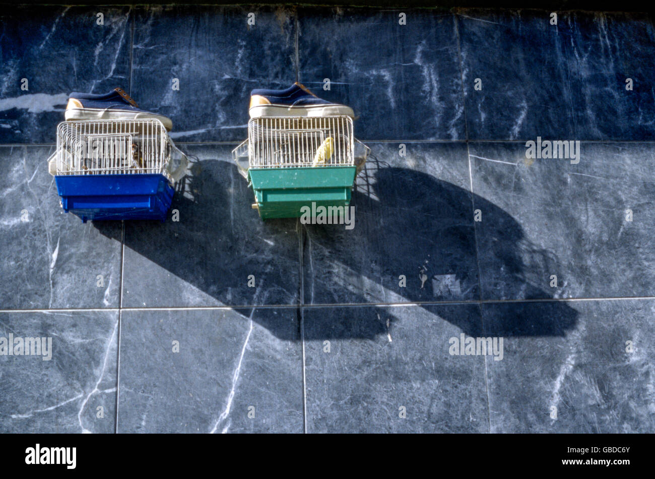 Canary bird cages on the Wall, Spain street Stock Photo