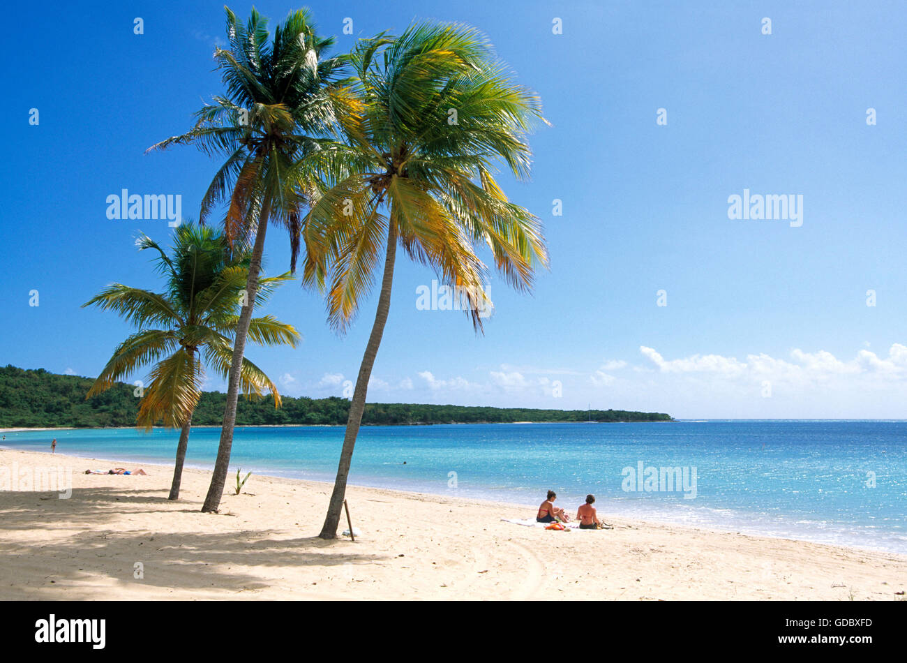 Beach on Vieques Island, Puerto Rico, Caribbean Stock Photo