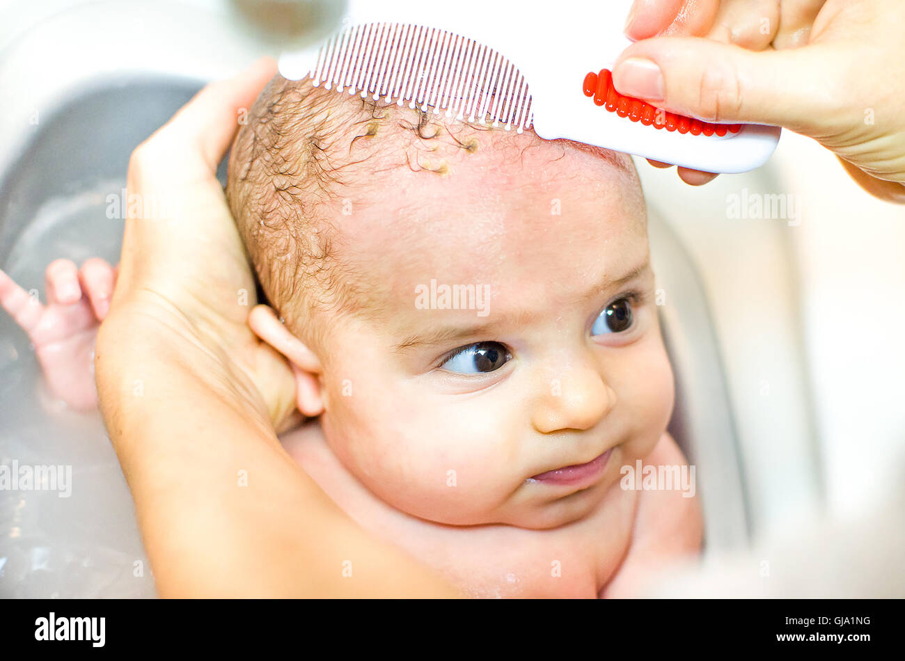 Cradle cap comb removing bathe Stock Photo